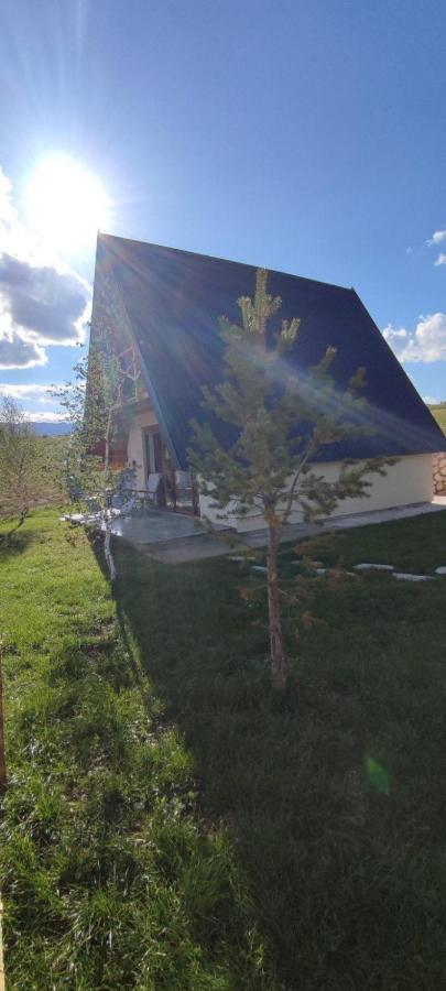 Pinewood Home Zabljak エクステリア 写真